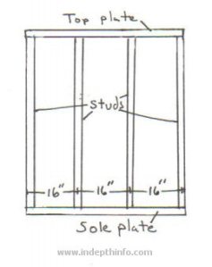 frame-anatomy