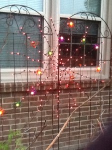 lights