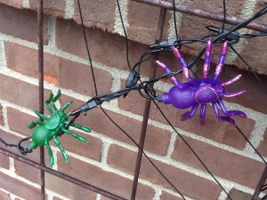 spiderlights
