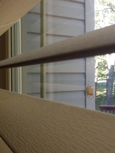 spider 1