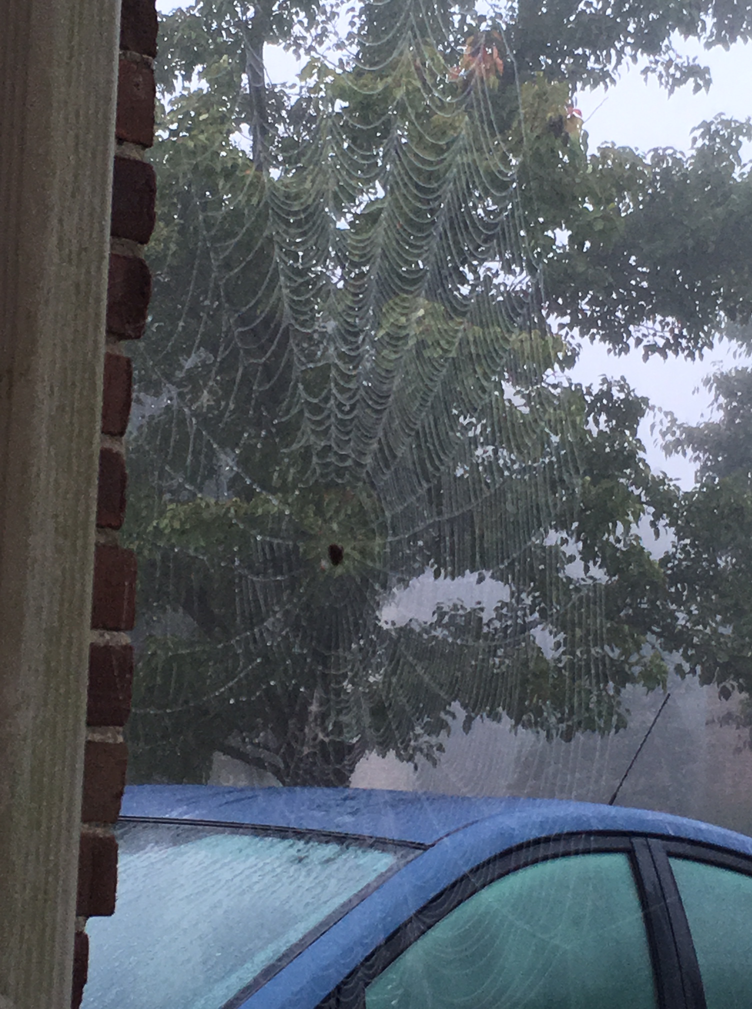 web2
