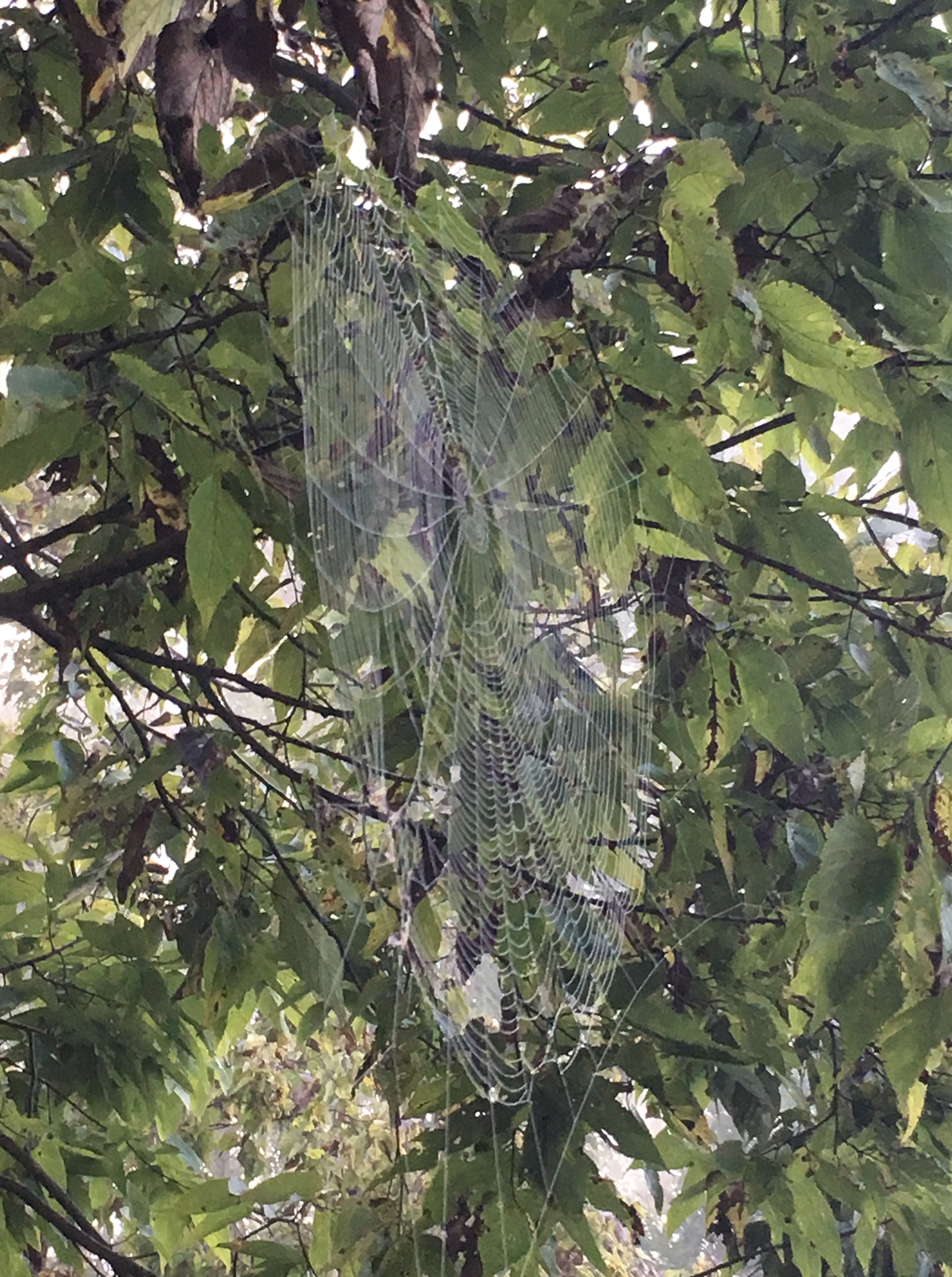 web3