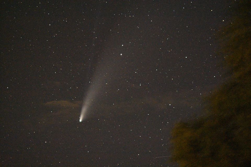 neowise from SBA