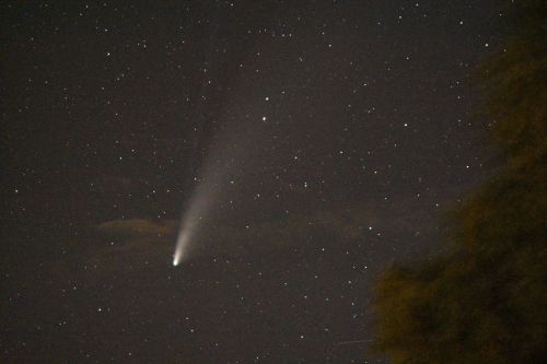 neowise from SBA